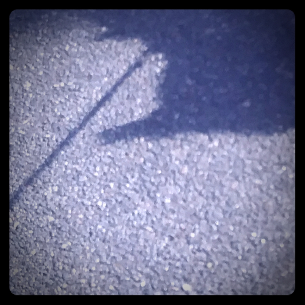 Meet your Posher, Liz